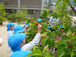 5月